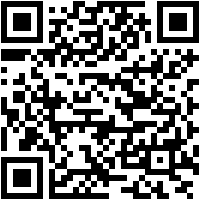 RFS - Real Flight Simulator